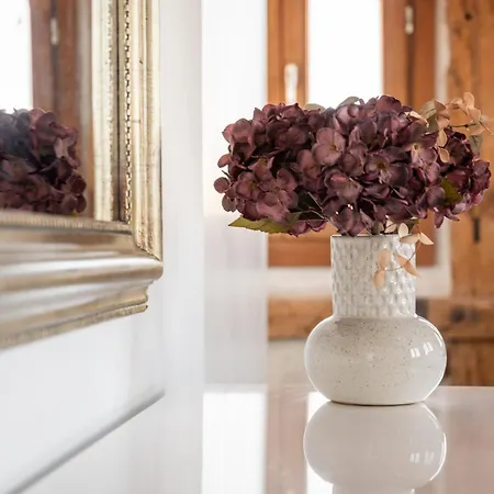 Santa Fe - Calle Armas By Ap Toledo