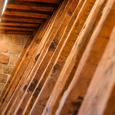 Apartment Santa Fe - Calle Armas By Ap *